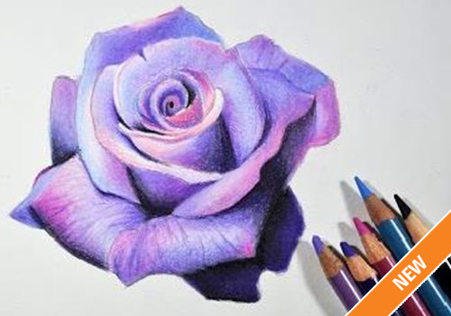 Get Inspired to Try Colored Pencils With Realistic Color Pencil Art Drawings